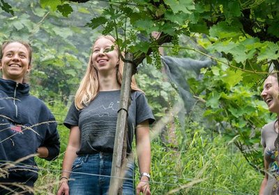 260624_Auslauben im Rebberg@Ullmann Photography.jpg